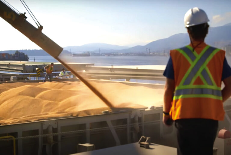 Grain prices reach nearrecord highs with no end in sight Alberta