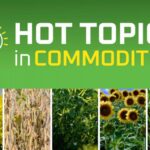 Online series covers Hot Topics in Commodities