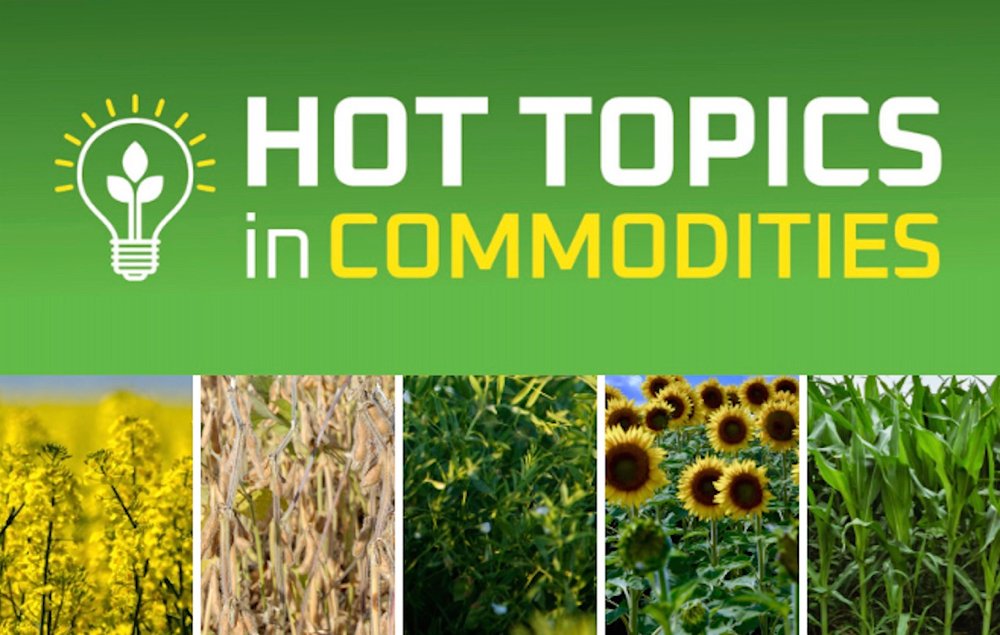 Online series covers Hot Topics in Commodities 