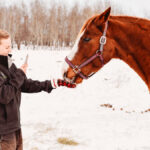 Charlotte Wasylik, who farms near Vermilion, has been doing virtual tours of Chatsworth Farm since the pandemic started.