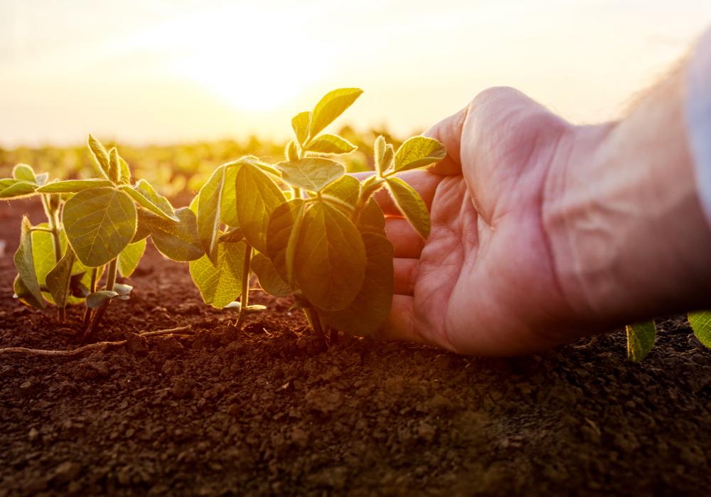 “What are you going to be able to sell to consumers and at what price?” – J.P. Gervais.