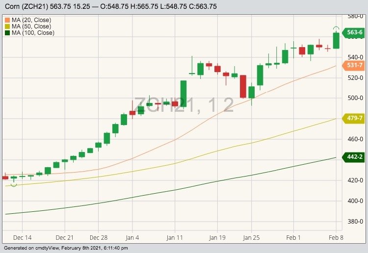 CBOT March 2021 corn with 20-, 50- and 100-day moving averages. (Barchart)
