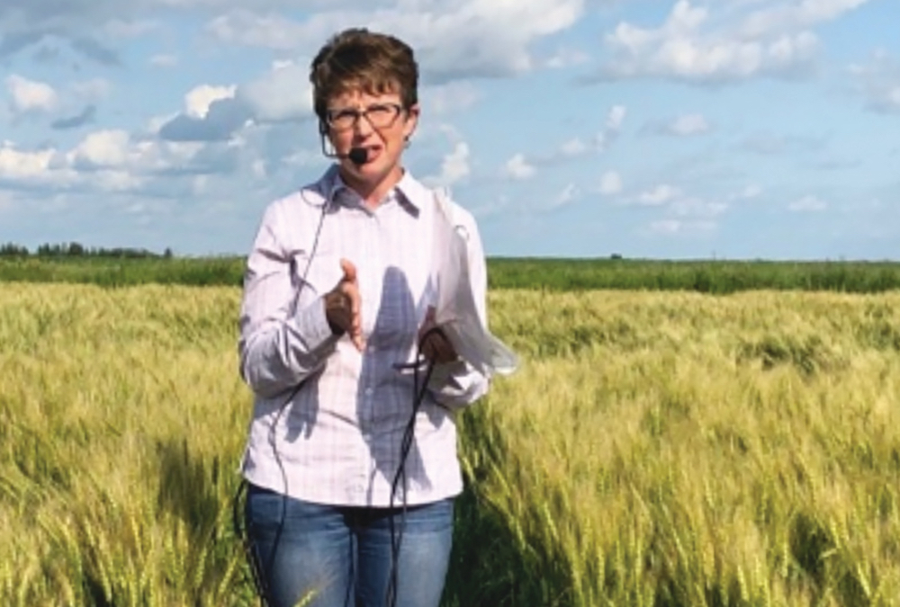Sheri Strydhorst, one of the province’s better-known crop experts, has joined Alberta Wheat and Alberta Barley as an agronomy research specialist.
