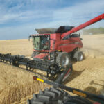 This photo from barleyharvest.ca shows AC Bow — one of three newer varieties being recommended for growers this year — being harvested near Lethbridge late last summer. Although only accounting for 2.7 per cent of malt acres last year, AC Bow moved up to fifth spot in popularity. Another recommended variety, AAC Connect, took fourth spot at 5.2 per cent of acres while the third, CDC Fraser,
was in seventh place (2.1 per cent of acres).