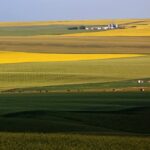 Up, up, up — farmland prices take another big jump
