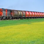 A record 12 months of grain shipping for CN