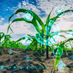 Our challenge is in embracing and executing the belief that technology is for the betterment of all of mankind.