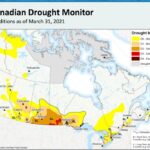 Prairies hit hard by drought