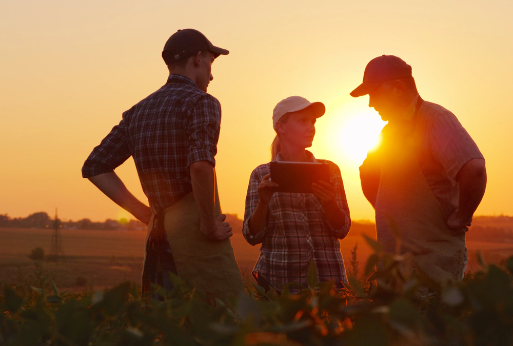 Our daily routines place a heavy dependency on minerals that are mined to supply modern life, might agriculture offer a more sustainable path?