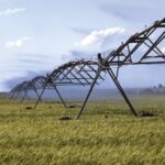 More irrigation being contemplated