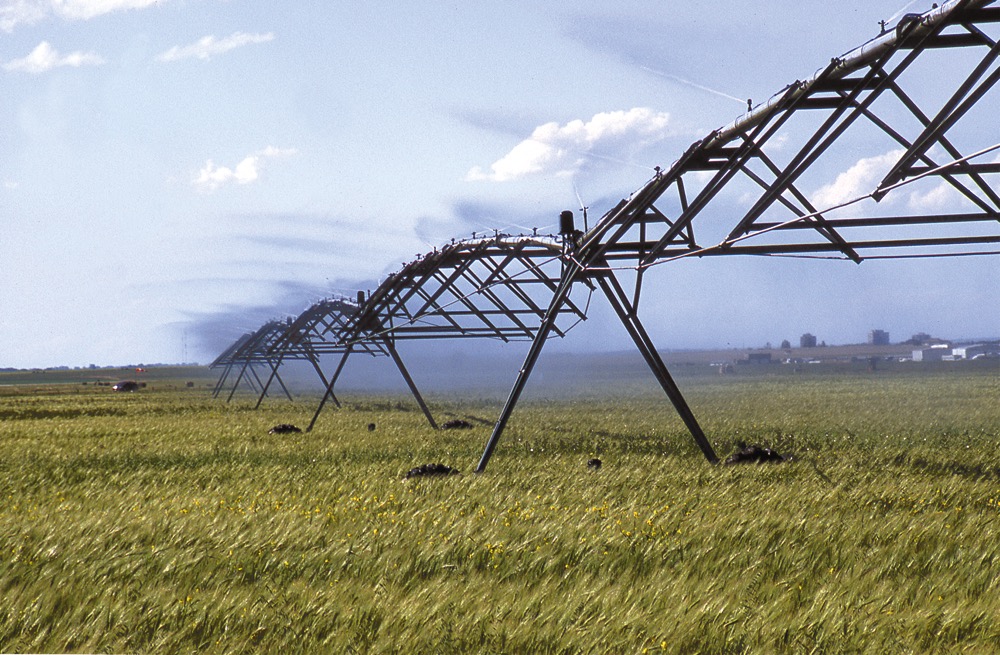 More irrigation being contemplated