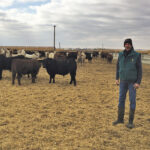 “We have to step it up. We have to find ways of making more veterinarians of our own.” – Dr. Pat Burrage.