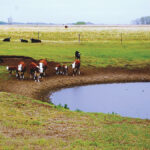 Regular testing can ensure that poor water quality doesn’t catch you unawares.