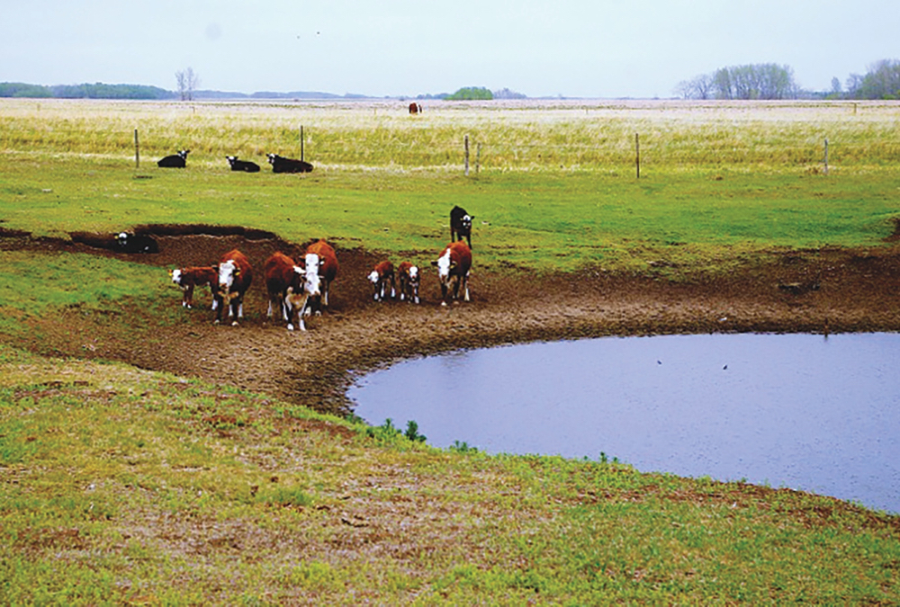 Regular testing can ensure that poor water quality doesn’t catch you unawares.