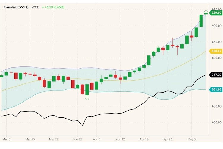 ICE July 2021 canola (candlesticks) with Bollinger (20,2) bands and November 2021 canola (black line). (Barchart)
