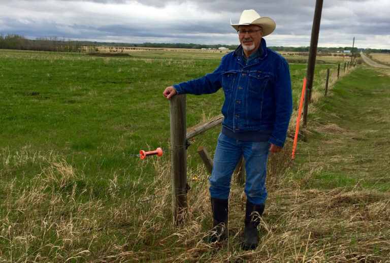 Here’s how to stay (properly) grounded when installing electric fencing