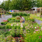 People can buy flowers anywhere but the experience of visiting Birchwood Meadows and picking their own is something special, says Cory Christopher.