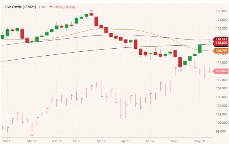 CME June 2021 live cattle (candlesticks) with 20-, 50- and 100-day moving averages (brown, dark red and black lines) and June 2021 lean hogs (pink high-low-close). (Barchart)
