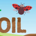 New at-home learning program for 4-H’ers