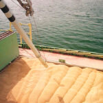 Inspection fees levied by the Canadian Grain Commission are front and centre as Ottawa conducts a review of the system that regulates grain standards.
