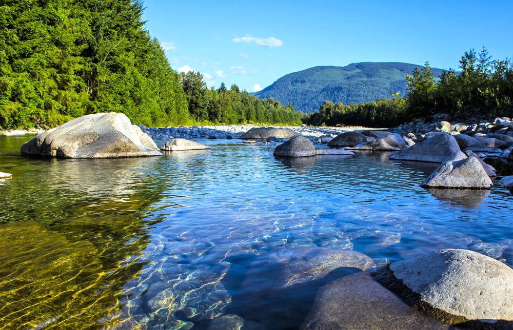 Less than two per cent of the Earth’s surface is fresh water.