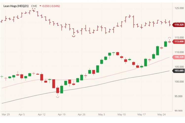 CME August 2021 lean hogs (candlesticks) with 20- and 50-day moving averages (pink, black lines) and August 2021 live cattle (red open/high/low/close). (Barchart)
