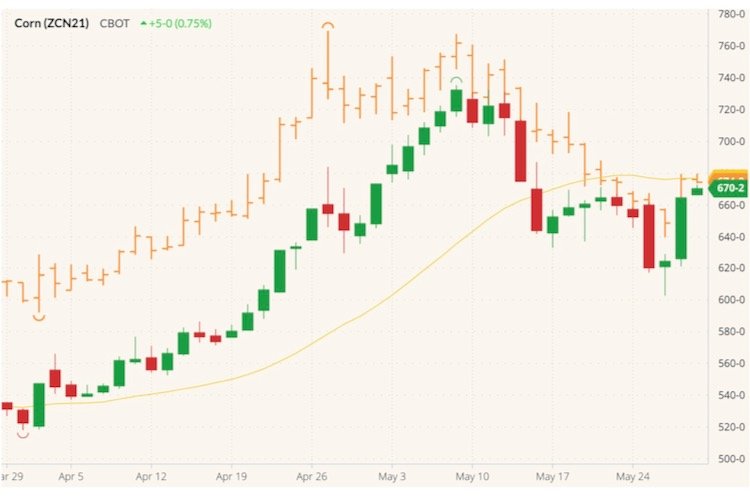 CBOT July 2021 corn (candlesticks) with 20-day moving average (yellow line) and CBOT July 2021 wheat (orange open/high/low/close). (Barchart)
