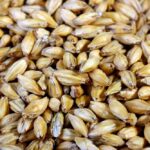 Chlormequat warning for all barley uses