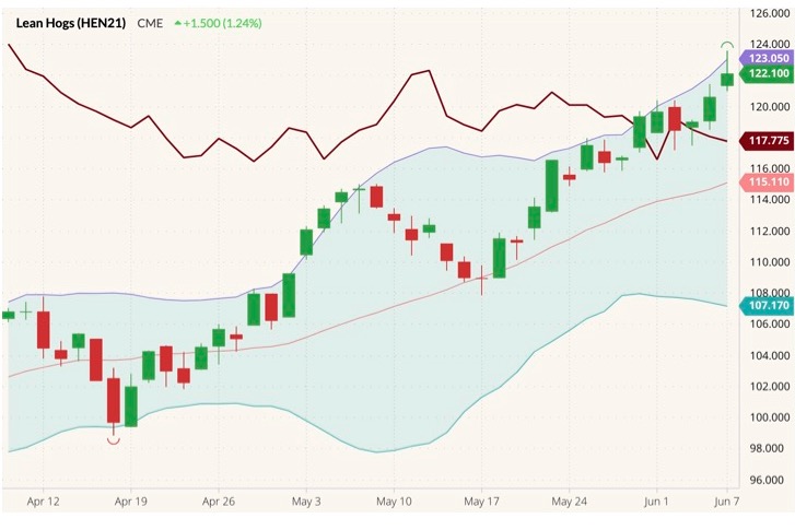 CME July 2021 lean hogs with Bollinger bands (20,2) and August 2021 live cattle (dark red line). (Barchart)
