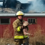 About 100 animals were saved from this barn fire (believed to be caused by an electrical short) in southern Ontario in December 2018, but another 1,300 pigs perished. Statistics on the number of barn fires, animals lost, and causes are hard to come by in much of Canada, but these “horrific” blazes are far too common, says Humane Society International/Canada.