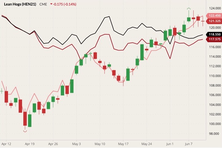 CME July 2021 lean hogs (candlesticks) with June 2021 lean hogs (pink line), June 2021 live cattle (dark red line) and August 2021 live cattle (black line). (Barchart)
