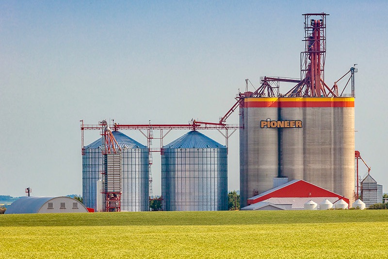 A Richardson Pioneer grain elevator in Saskatchewan on July 28, 2017. (Scott Prokop Photography/CNW Group/Richardson International)
