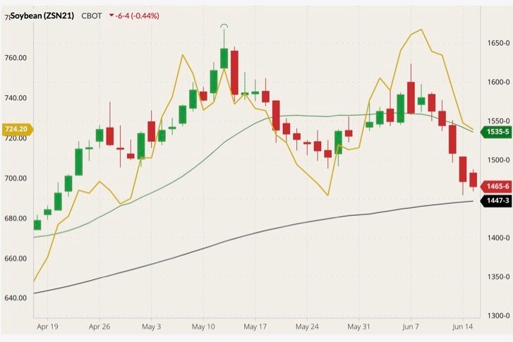 CBOT July 2021 soybeans (candlesticks) with 20- and 100-day moving averages (green and black lines) and ICE November 2021 canola (yellow line, left column). (Barchart)
