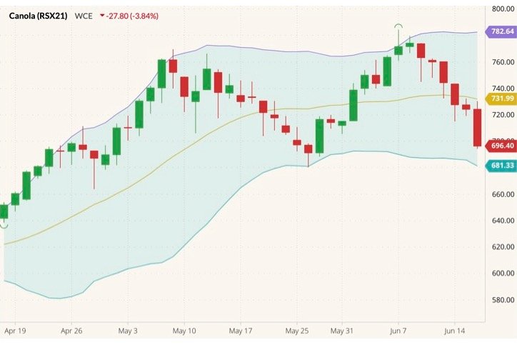 ICE November 2021 canola (candlesticks) with Bollinger (20,2) bands. (Barchart)
