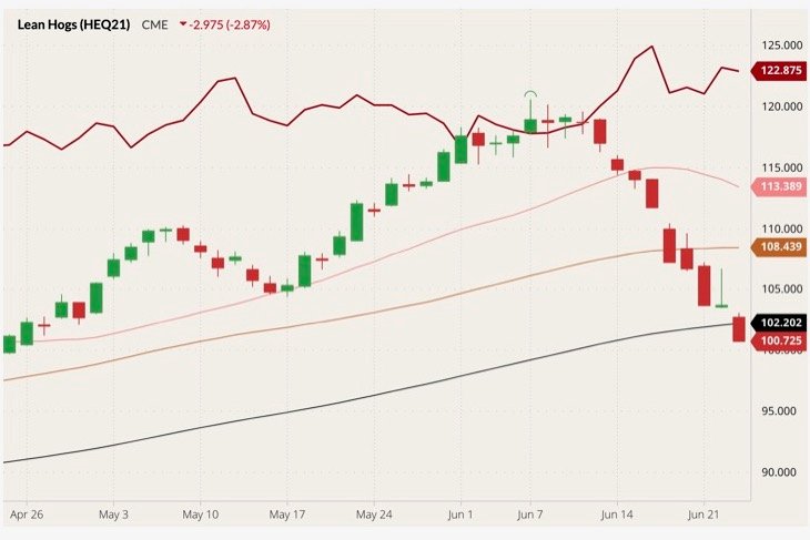 CME August 2021 lean hogs (candlesticks) with 20-, 50- and 100-day moving averages (pink, brown and black lines) and August 2021 live cattle (dark red line). (Barchart)
