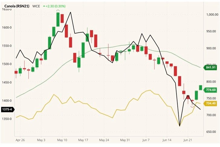 ICE July 2021 canola (candlesticks) with 20-day movjng average (green line), ICE November 2021 canola (yellow line) and CBOT July 2021 soybeans (black line, left column). (Barchart)

