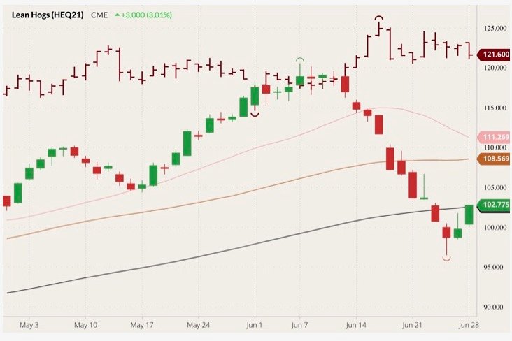 CME August 2021 lean hogs (candlesticks) with 20-, 50- and 100-day moving averages (pink, brown and black lines) and August 2021 live cattle (dark red open/high/low/close). (Barchart)
