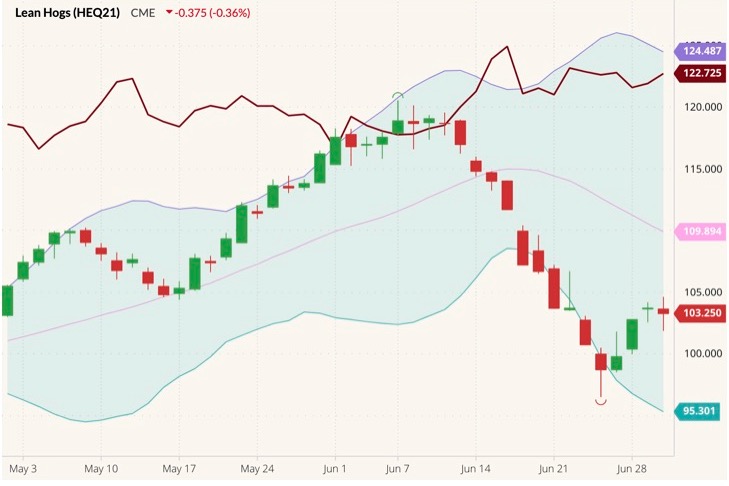 CME August 2021 lean hogs (candlesticks) with Bollinger bands (20,2) and August 2021 live cattle (dark red line). (Barchart)
