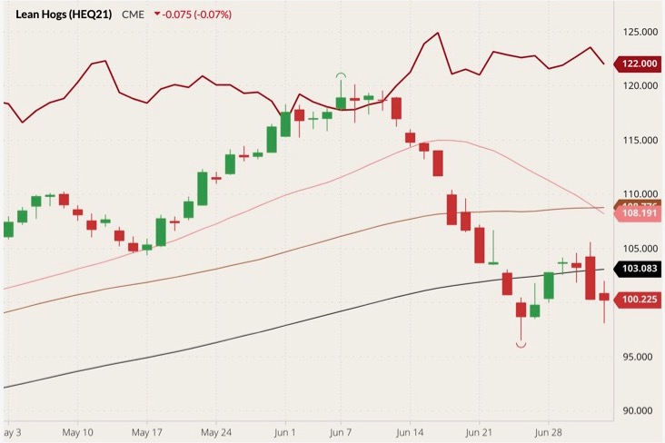 CME August 2021 lean hogs (candlesticks) with 20-, 50- and 100-day moving averages (pink, brown and black lines) and August 2021 live cattle (dark red line). (Barchart)
