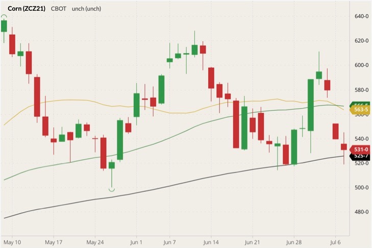 CBOT December 2021 corn (candlesticks) with 20-, 50- and 100-day moving averages (yellow, green and black lines). (Barchart)
