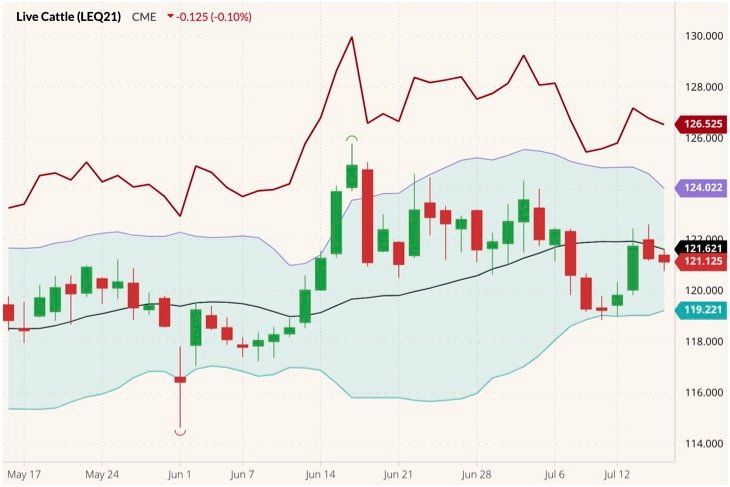 CME August 2021 live cattle (candlesticks) with Bollinger bands (20,2) and October 2021 live cattle (dark red line). (Barchart)
