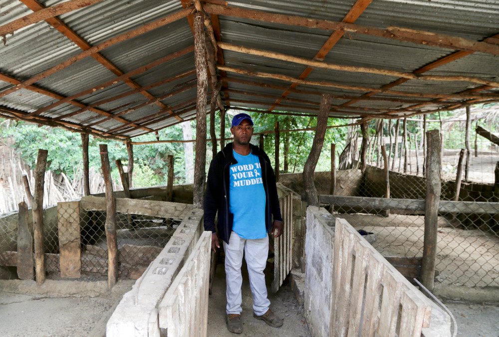 Nelson Aquino observes his pig farm after pigs died of African swine fever, as the government announced the slaughter of tens of thousands of pig after detecting outbreaks of African swine fever in pigs farms across the country, in Palmarito, Monte Cristi, Dominican Republic August 1, 2021. Photo: Reuters/Ricardo Rojas
