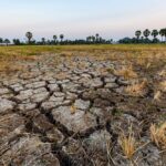 Scientists emphasize that the effects of climate change are already here. Photo: Getty Images