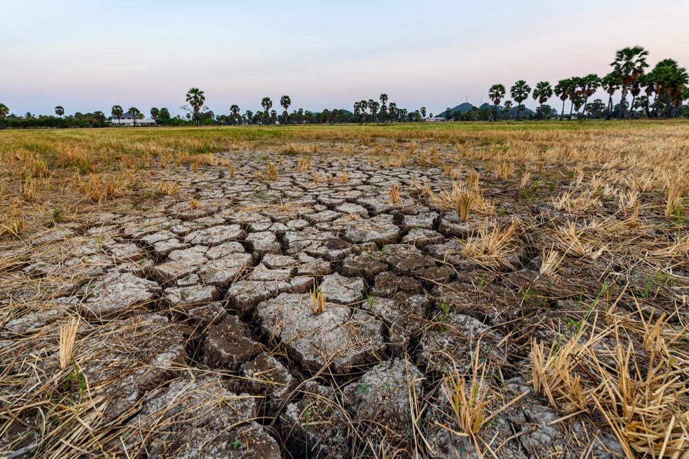Scientists emphasize that the effects of climate change are already here.  Photo: Getty Images
