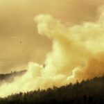 Livestock affected by wildfire smoke, too