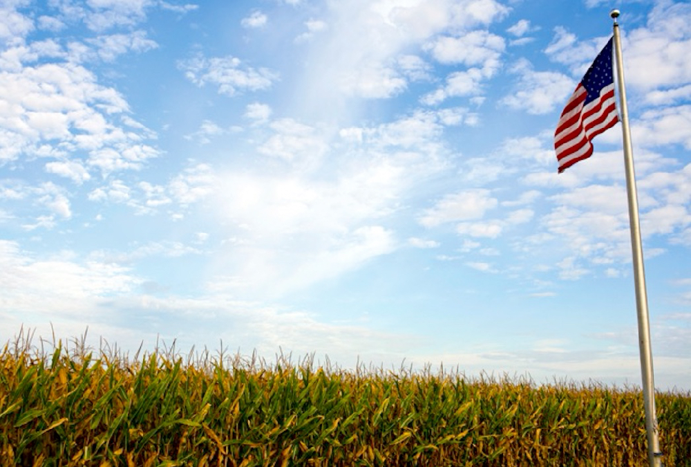Photo: Thinkstock
