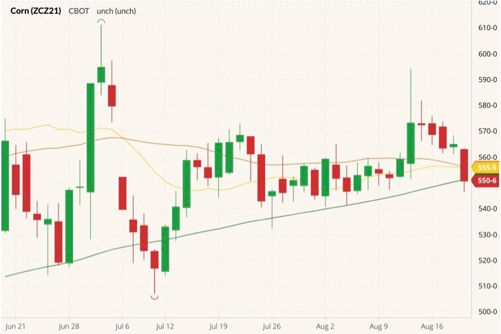 CBOT December 2021 corn (candlesticks) with 20-, 50- and 100-day moving averages (yellow, orange and dark green lines). (Barchart)
