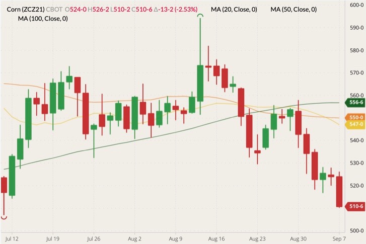 CBOT December 2021 corn (candlesticks) with 20-, 50- and 100-day moving averages (yellow, orange and dark green lines). (Barchart)
