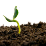Farming is inherently risky, but there are ways to mitigate it and that begins with soil testing, says one Strathmore-area agronomist.