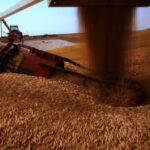 Moisture and grain temperature when it hits the bin are the two key factors to watch for.